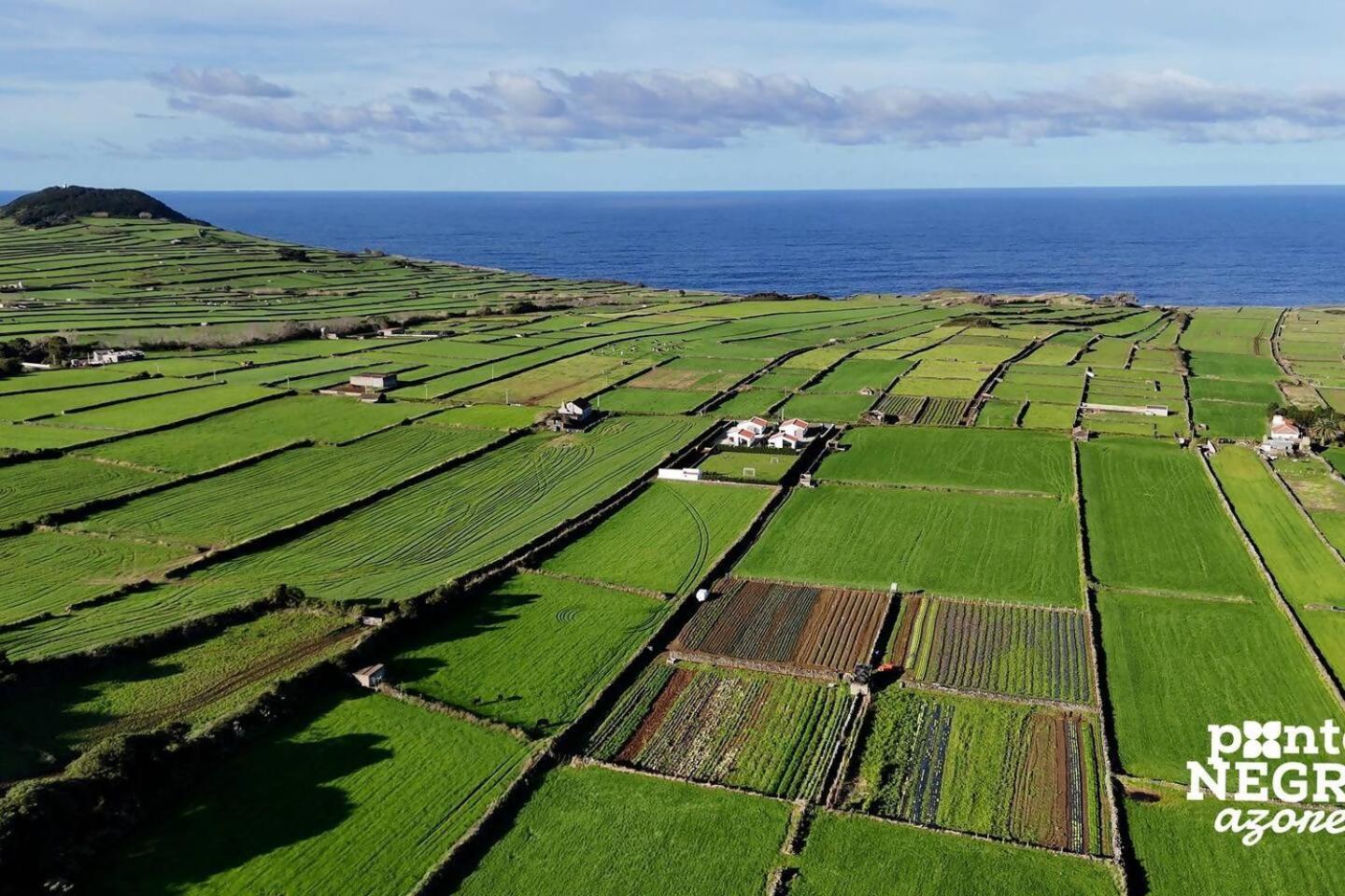 Altares Wine House By Ponta Negra Azores מראה חיצוני תמונה
